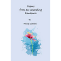 Poems From an Unending Pandemic