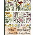 1914 Vintage Botany Botanical Illustration Sizes