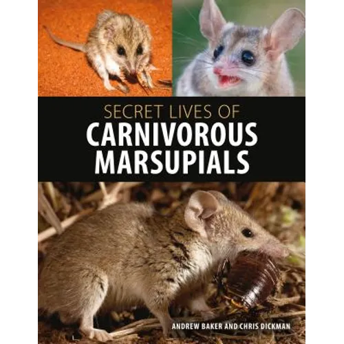 Secret Lives of Carnivorous Marsupials