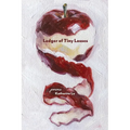 Ledger of Tiny Losses: poems