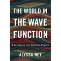 The World in the Wave Function: A Metaphysics for Quantum Physics