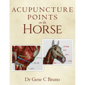 Acupuncture Points on the Horse