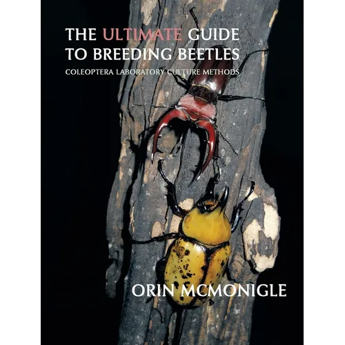 The Ultimate Guide to Breeding Beetles: Coleoptera Laboratory Culture Methods