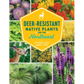 Deer-Resistant Native Plants for the Northeast