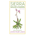 Sierra Wildflowers: A Hiker's Guide