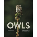 Owls: Nocturnal Birds of Prey from Around the World