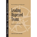 Leading Dispersed Teams