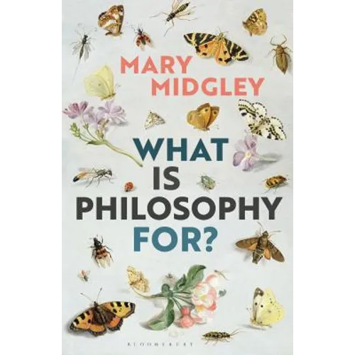 What Is Philosophy For?