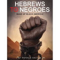 Hebrews to Negroes: Wake Up Black America!