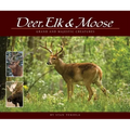 Deer, Elk & Moose: Grand and Majestic Creatures