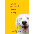 What I Learned From A Dog