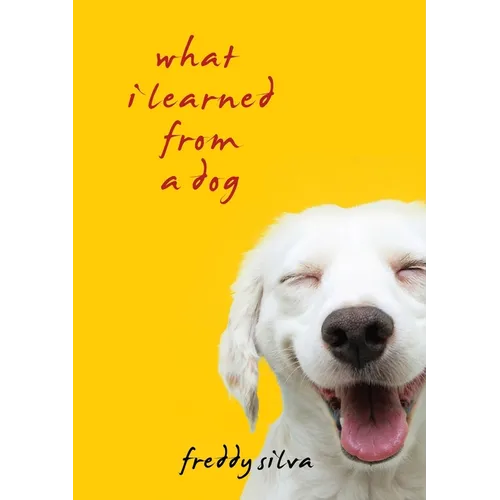 What I Learned From A Dog