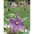 An Illustrated Encyclopedia of Clematis