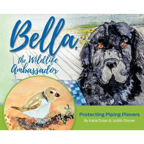 Bella, the Wildlife Ambassador: Protecting Piping Plovers