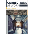 Corrections at Work: A Call for Institutional Accountability