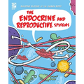 The Endocrine and Reproductive Systems