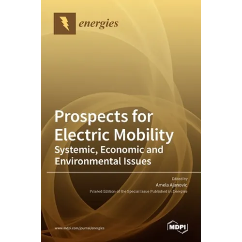 Prospects for Electric Mobility: Systemic, Economic and Environmental Issues