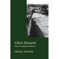 Clio's Ground: New and Selected Poems