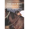 The Boy Who Promised Me Horses