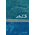 Geometry: A Very Short Introduction