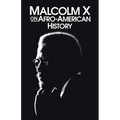 Malcolm X on Afro-American History