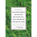 Plants Have So Much to Give Us, All We Have to Do Is Ask: Anishinaabe Botanical Teachings