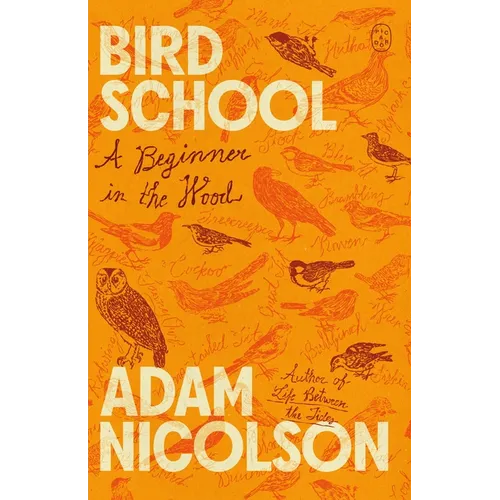 Bird School: A Beginner in the Wood