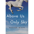 Above Us Only Sky: Essays