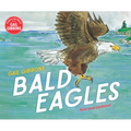 Bald Eagles