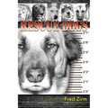 Rescue Dogs