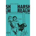 Harsh Realm: My 1990s
