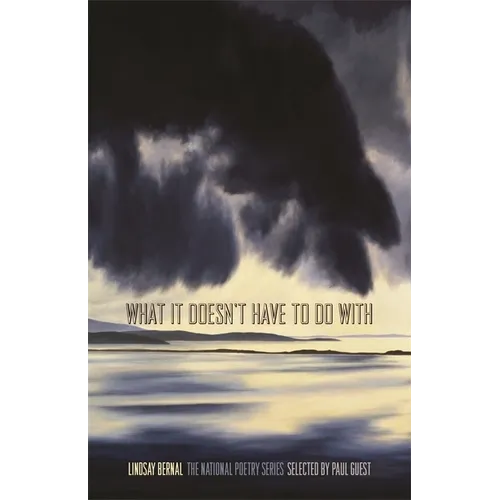 What It Doesn't Have to Do with: Poems