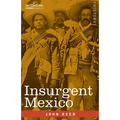 Insurgent Mexico