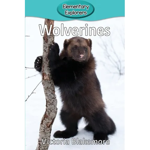 Wolverines
