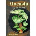 Alocasia: Plant overview and guide