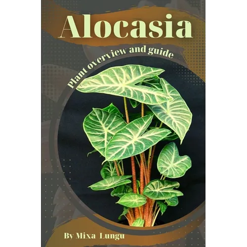 Alocasia: Plant overview and guide