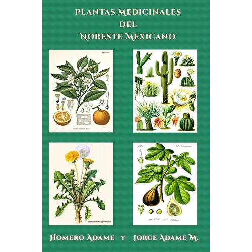 Plantas medicinales del noreste mexicano