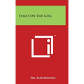 Essays On The Gita