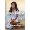 The Purpose of Destiny