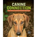 Canine Connection: How Dogs and Humans Evolved Together