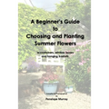 A Beginner's Guide to Choosing and Planting Summer Flowers