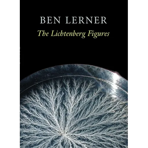 The Lichtenberg Figures