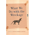 What We Do with the Wreckage: Stories