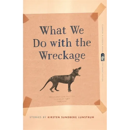What We Do with the Wreckage: Stories