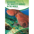 The Smartest Animals in the World