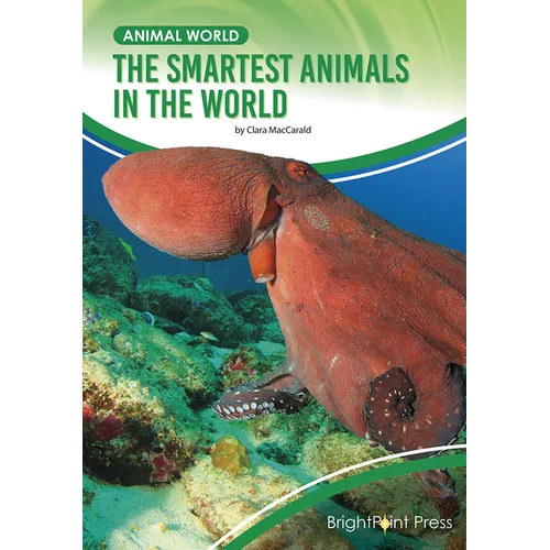 The Smartest Animals in the World