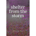 Shelter from the Storm