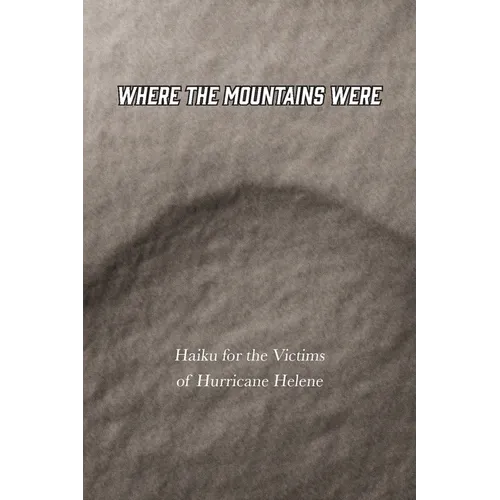 Where the Mountains Were