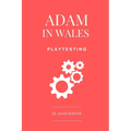Adam in Wales - Playtesting: A Practical Guide for Board Game Designers