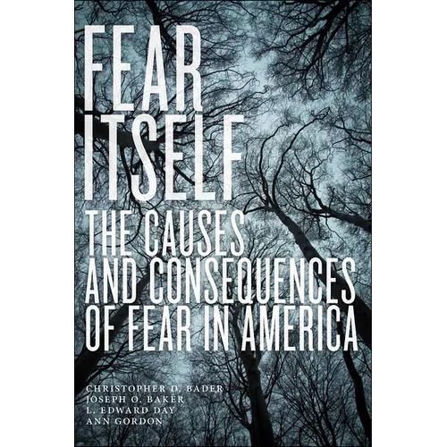 Fear Itself: The Causes and Consequences of Fear in America